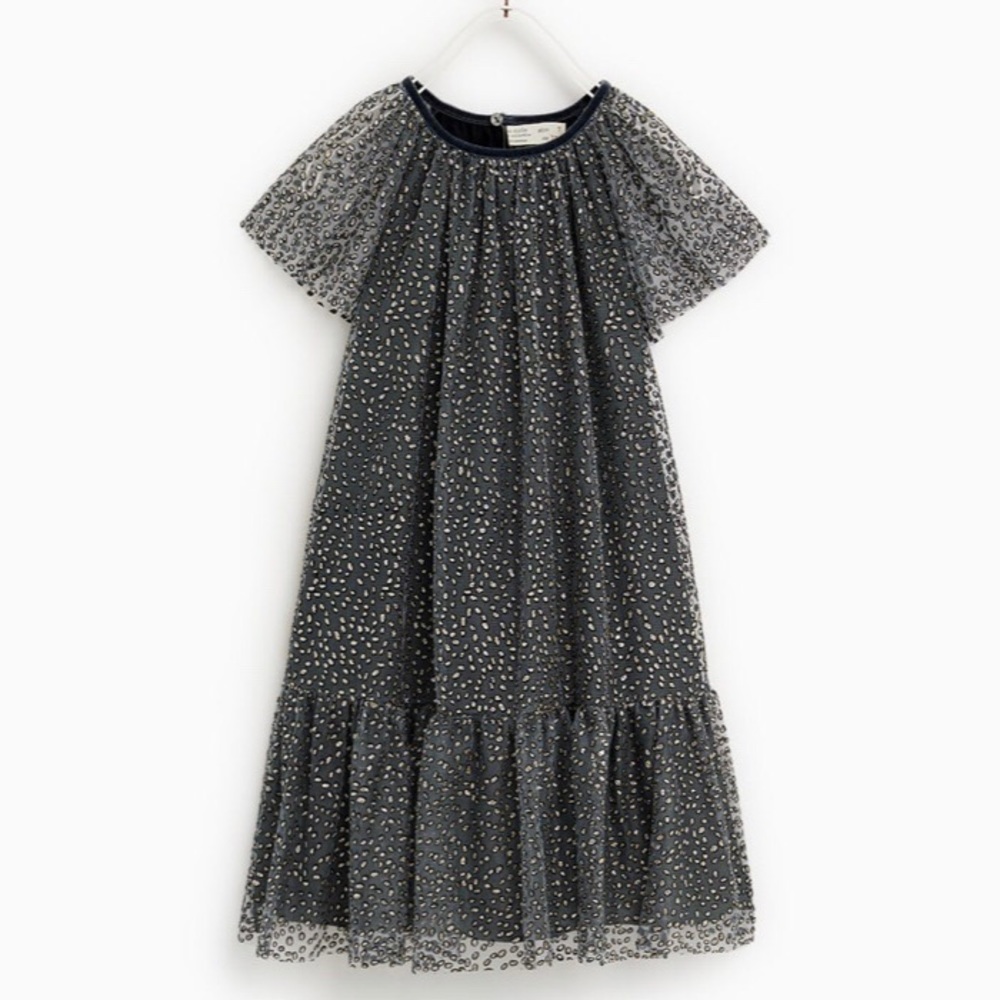 🎉Host Pick🎉 Zara Kids | Shiny Dress
